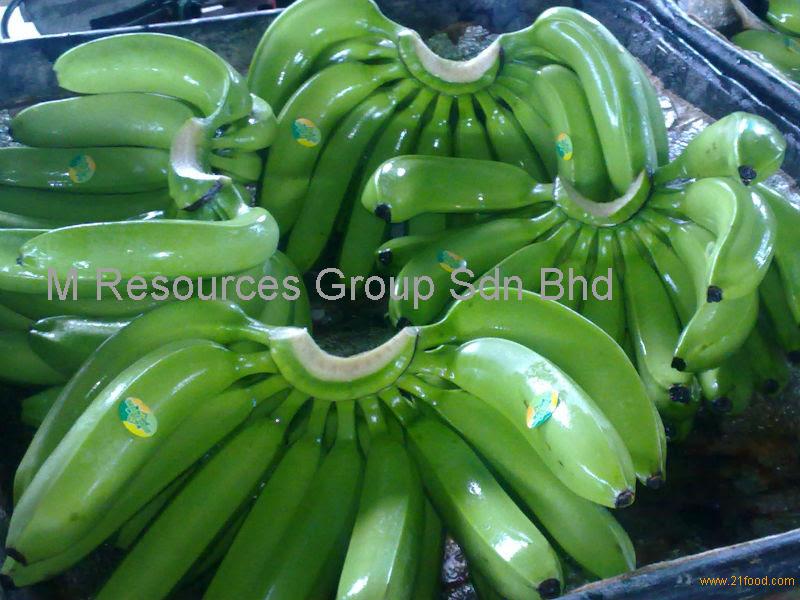 Fresh Cavendish bananas,Japan NEW price supplier 21food