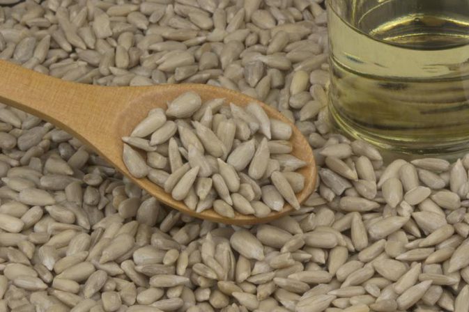 sunflower-seeds-korea-sunflower-seeds-price-supplier-21food