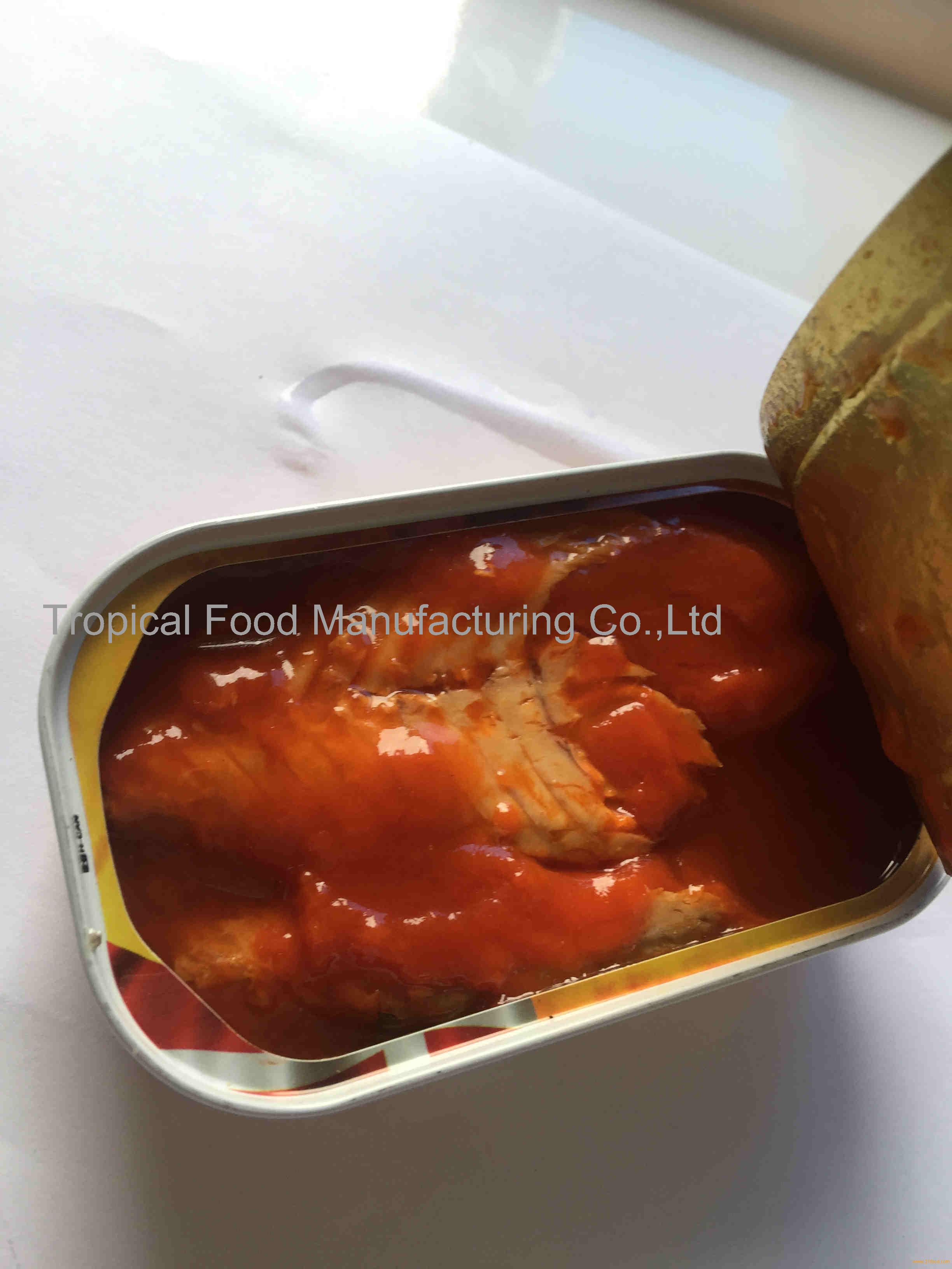 Canned mackerel fillets in tomato sauce