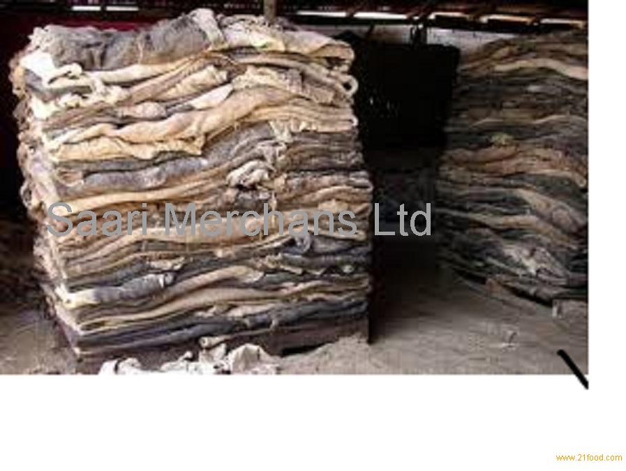 Dry and Wet Salted Donkey/Horse hide /Wet Cow Hides