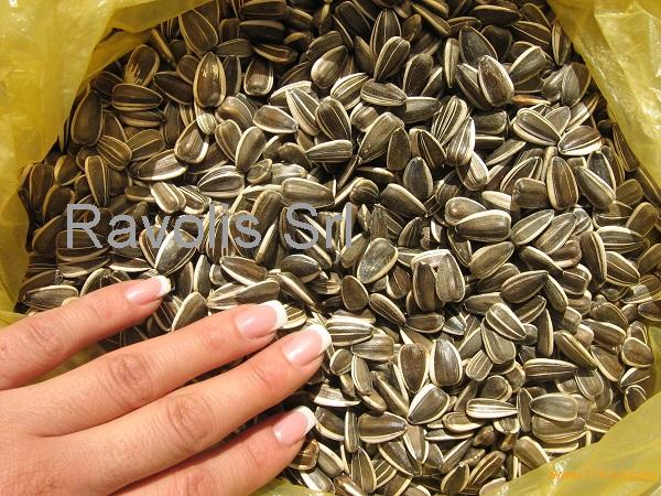 striped sunflower seeds,Moldavia Konfeta CL price supplier - 21food