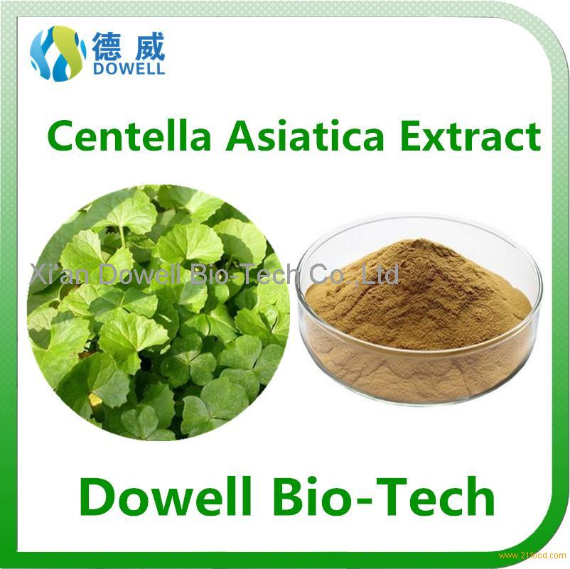 Health Benefits Centella Asiatica Extract /Gotu Kola Extract Powder 10% ...