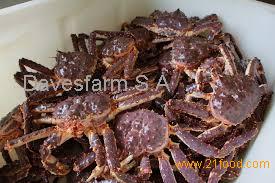 King Crabs for sale ( Whole , Live , Fresh),South Africa price supplier