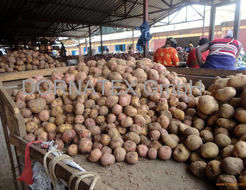 fresh-potatoes-irish-potatoes-chips-flour-starch-cake-germany