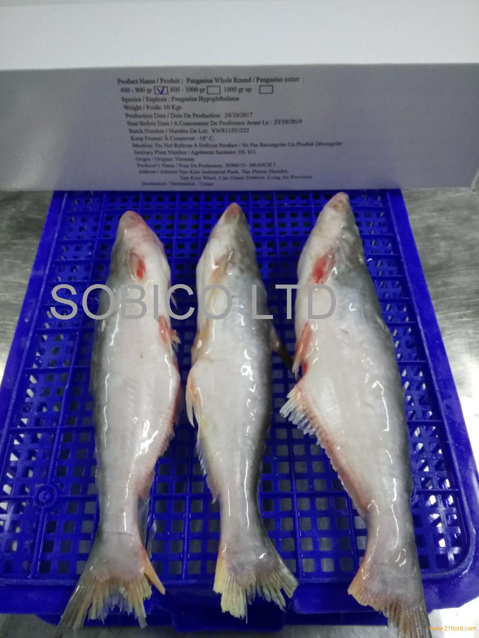 Seafoodsobico 17550220 