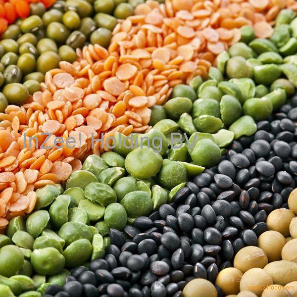 Red Lentils Masoor Dal Pulses Green Lentil Green/Red/Black/Brown/Split