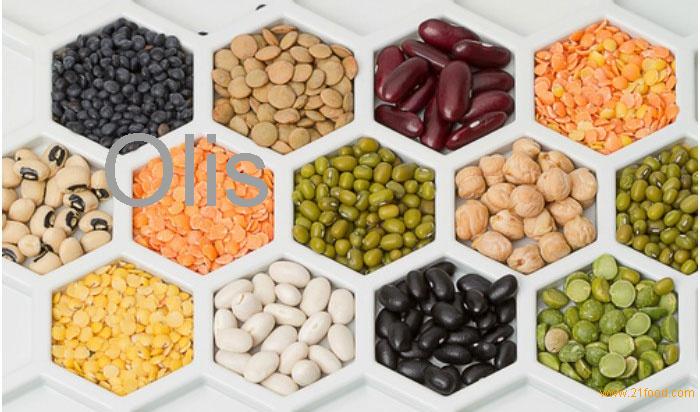 Cereals, pulses and oilseed