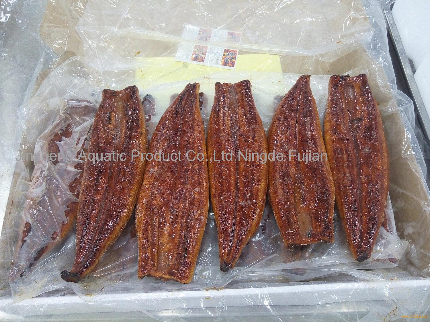 frozen eel fish