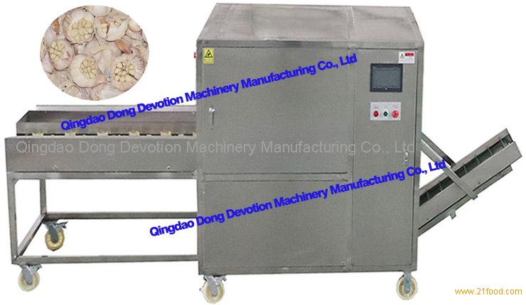 electric garlic processing equipment / concave