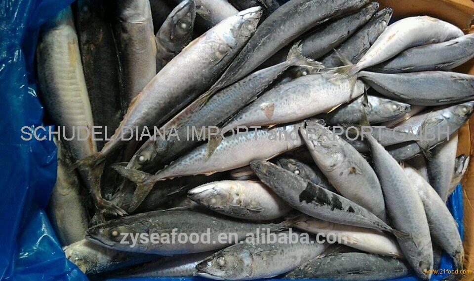 seafood procssor dutiesw seafood procssor dutiesw