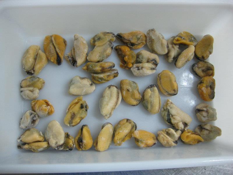 frozen cooked mussel meat,China ACE price supplier 21food