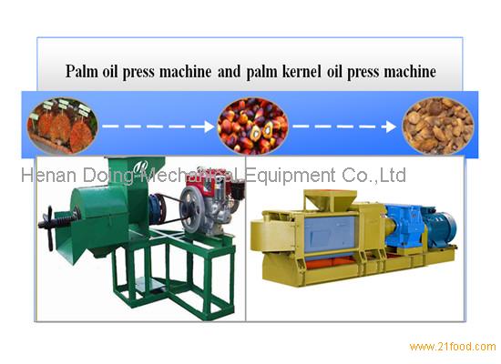 How to Start a Palm Kernel Oil Extraction Company_Palm Oil