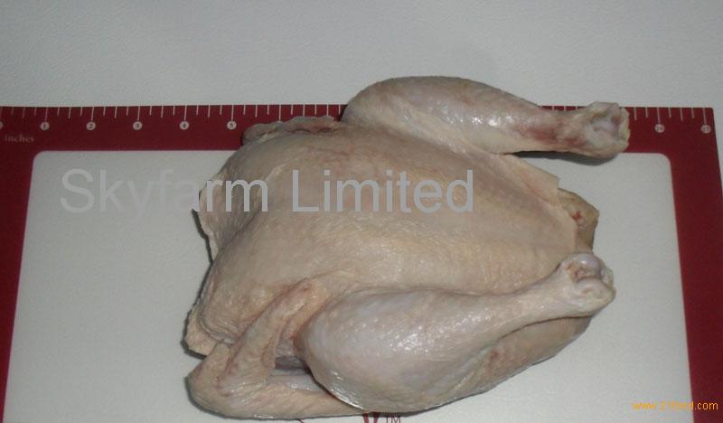 Halal Frozen Whole Chickenunited Kingdom Whole Chicken Price Supplier 21food 