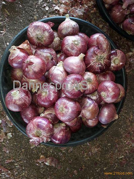 Fresh/Dried Red Onion