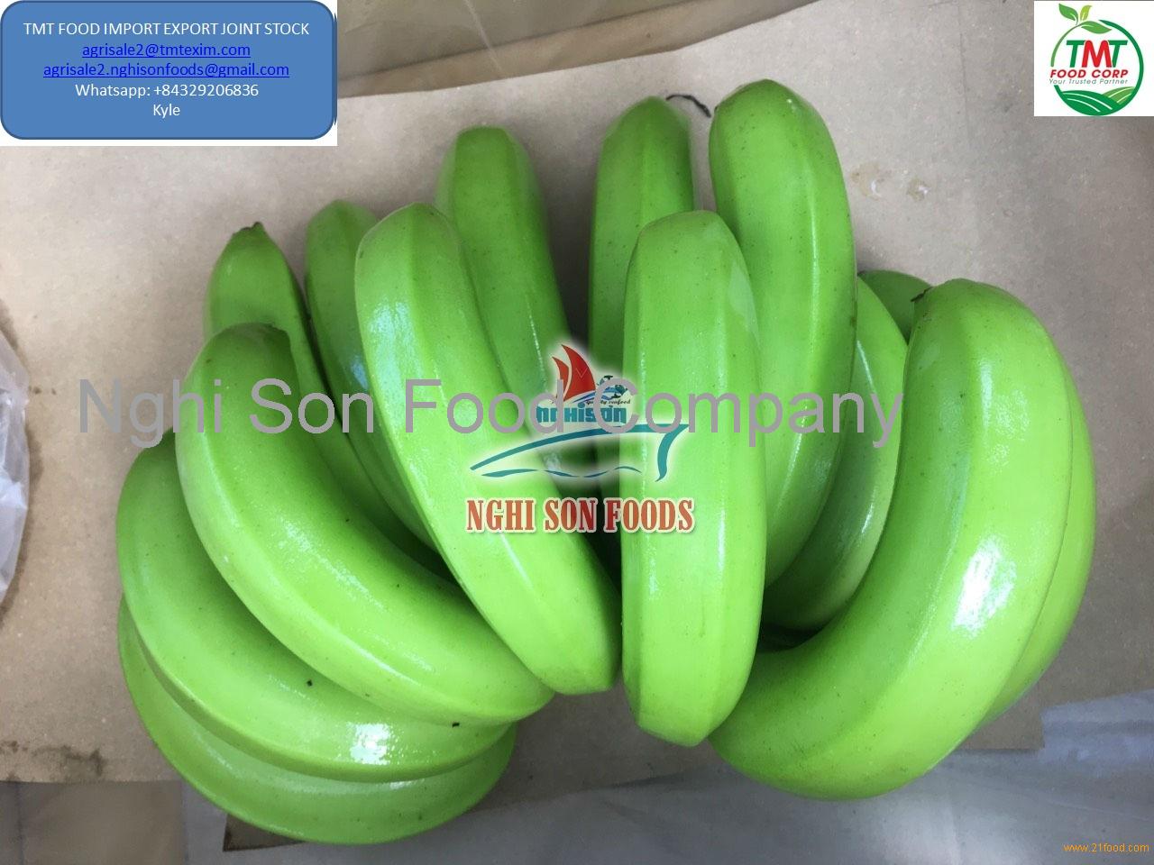 Fresh Cavendish Bananavietnam Tmt Foods Price Supplier 21food