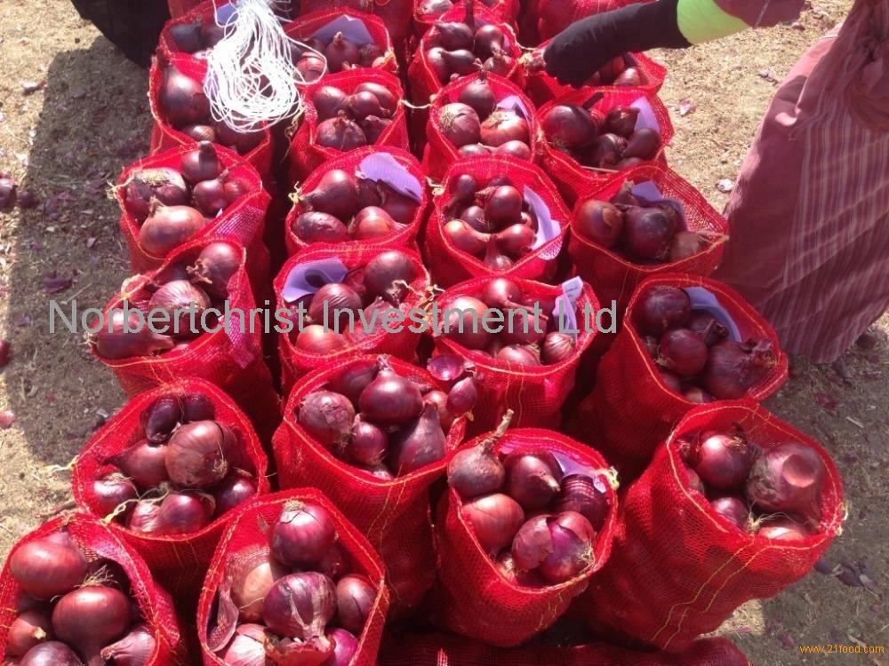Red and Yellow Onion