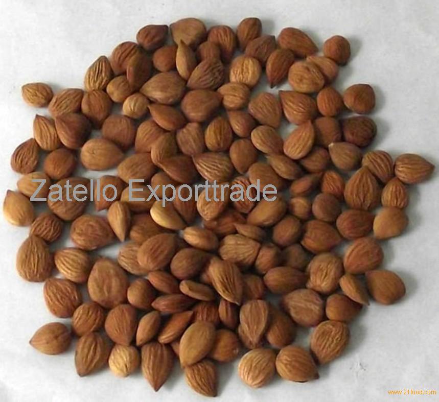 Organic Bitter Apricot Kernel2018 Season Available Stock 60mtssouth