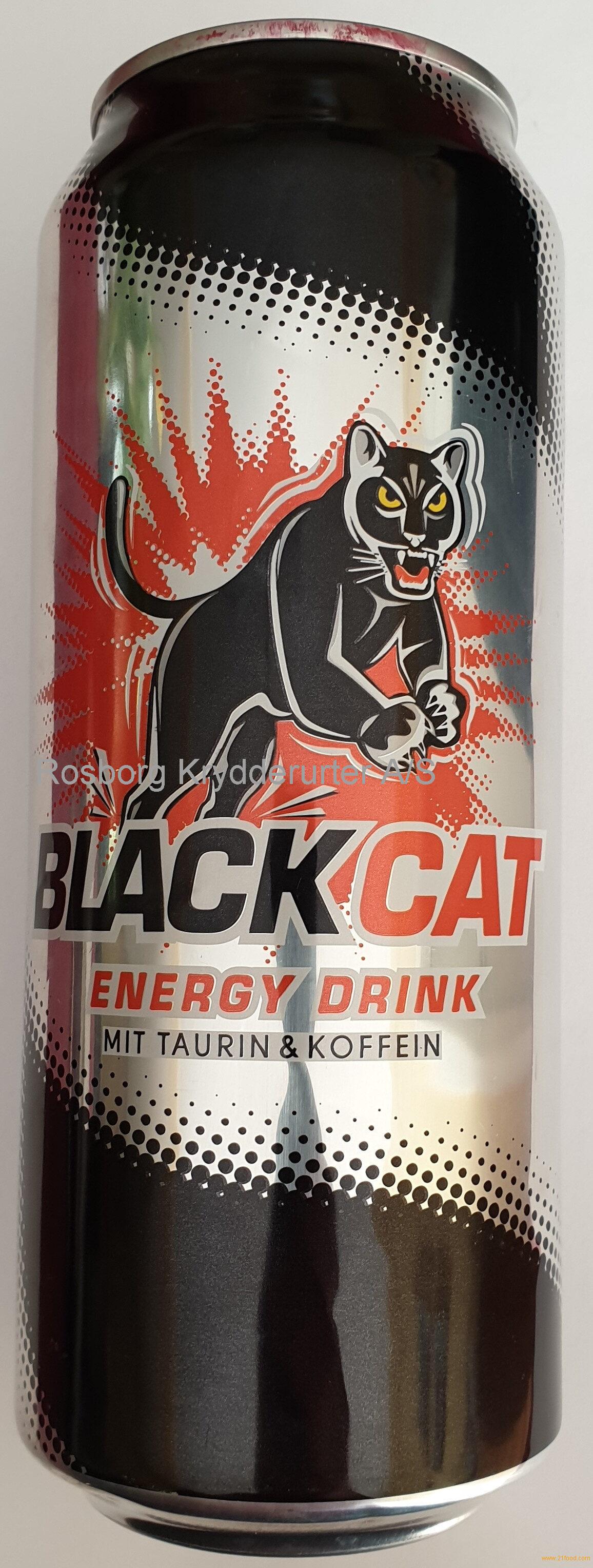 what-does-the-black-cat-energy-mean-on-tiktok