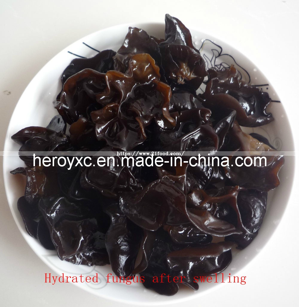 Dried Black Fungus (Auricularia Auricula)
