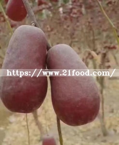 a/B/C Grade Chinese Red Date Planted in Xinjiang