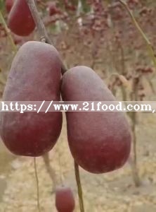 Xinjiang Highest Grade Red Jujubes From China