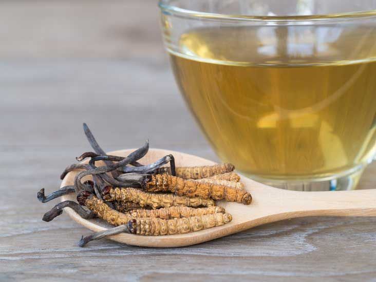 Cholesterol Reduction Cordyceps Sinensis Plant Extracts Fitness Health Food