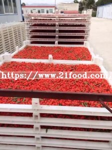 2018 New Goji Berries Red with Certificate