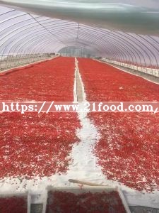 2018 New Goji Berries Red with Certificate