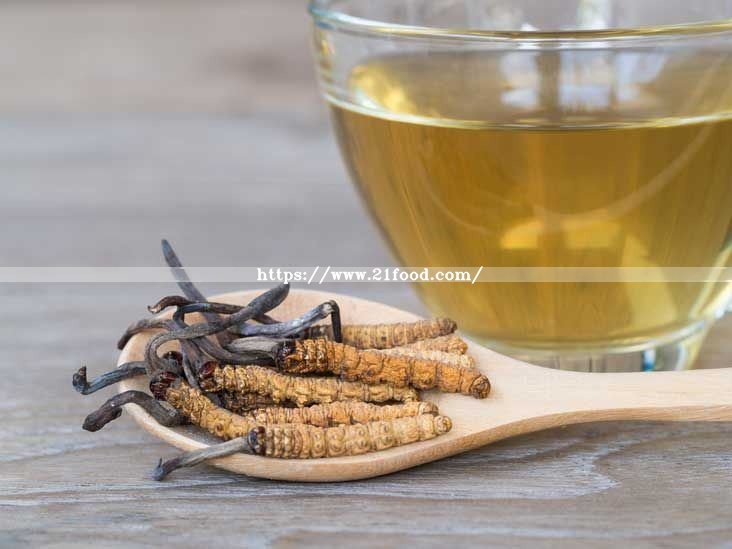 Cordyceps Sinensis Chinese Tibetan Medicine Caterpillar Fungus