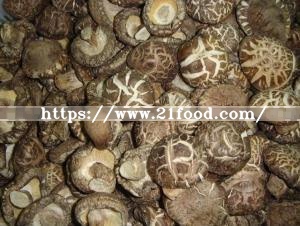 New Crop High Quality Fungus From Different Edible Mushrooms