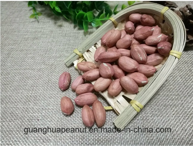 New Crop Best Qualtiy Raw Peanut Kernels