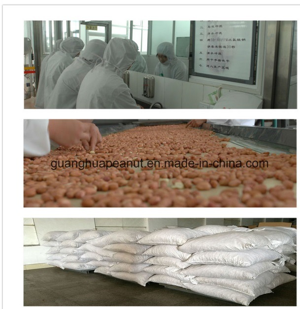 New Crop Best Qualtiy Raw Peanut Kernels