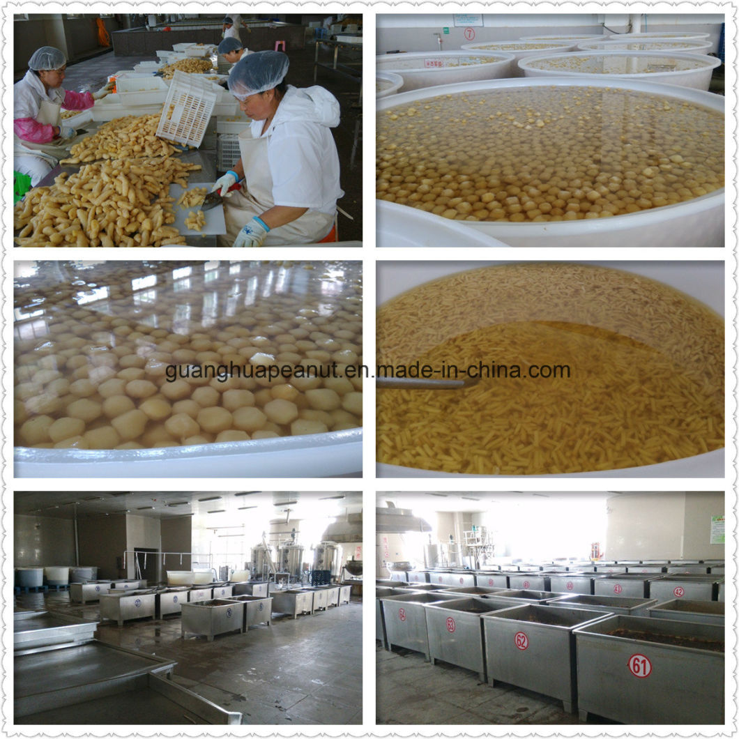 Crystallized Ginger with High Quality From China