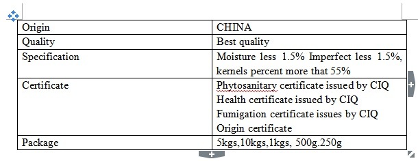 Best Quality Macadamia Nut New Crop