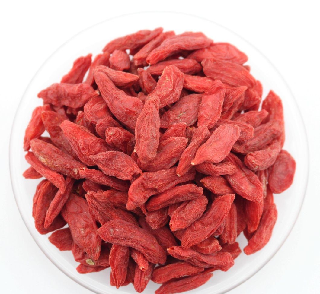 Best Quality Dried Organic Ningxia Goji Berry From China