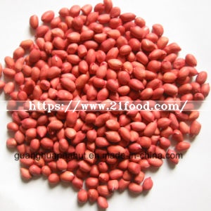 New Crop Best Qualtiy Raw Peanut Kernels