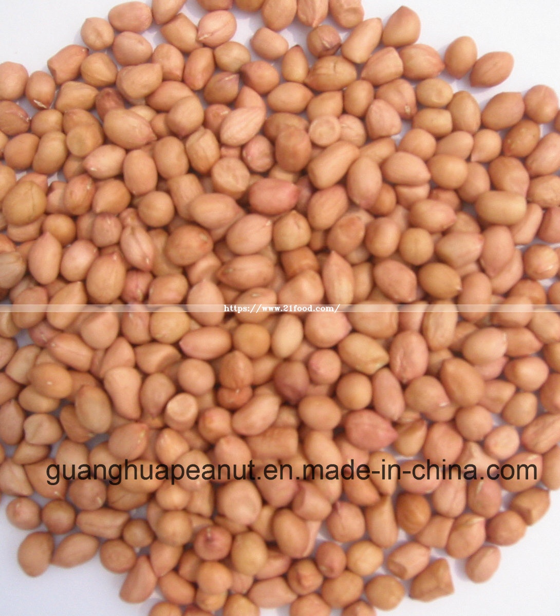 New Crop Best Qualtiy Raw Peanut Kernels