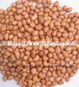 New Crop Best Qualtiy Raw Peanut Kernels