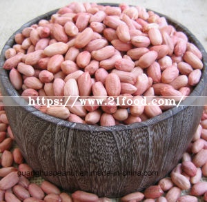 New Crop Best Qualtiy Raw Peanut Kernels
