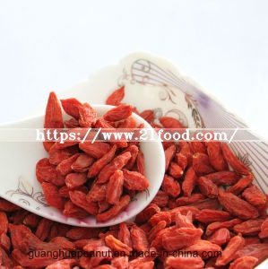 Best Quality Ningxia Dried Goji Berry