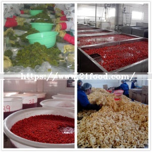 Dried Pear Halves with High Quality From China