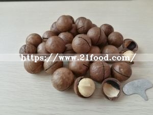 Best Quality Macadamia Nut New Crop