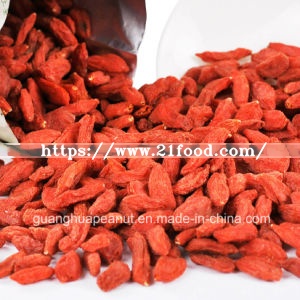 Best Quality Dried Organic Ningxia Goji Berry From China