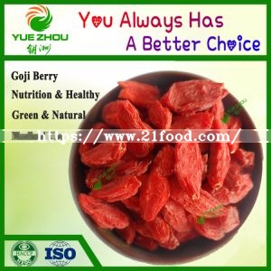 Ningxia Goji Berry with High Quality From China