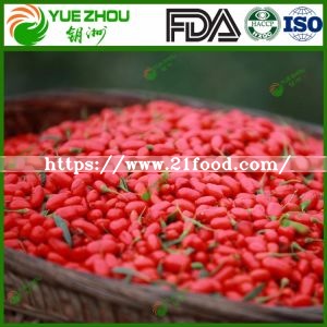 Ningxia Goji Berry with High Quality From China