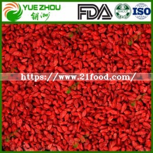 Organic Goji Berry New Crop Goji Berry From Ningxia with Price