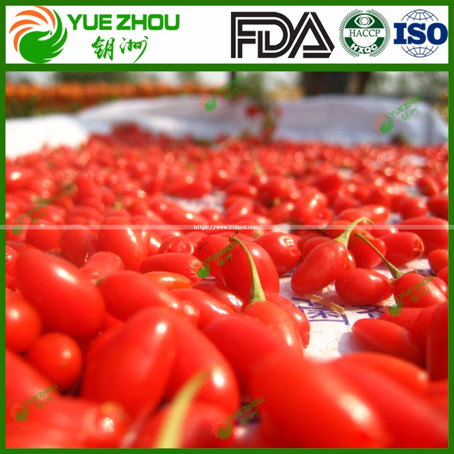 Organic Goji Berry New Crop Goji Berry From Ningxia with Price