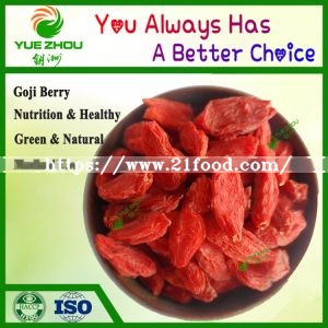 Organic Goji Berry New Crop Goji Berry From Ningxia with Price