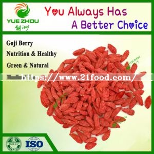 New Crop Goji Berry Organic Goji Berry From Ningxia with Price