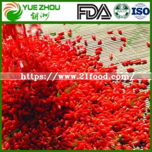 New Crop Goji Berry Organic Goji Berry From Ningxia with Price